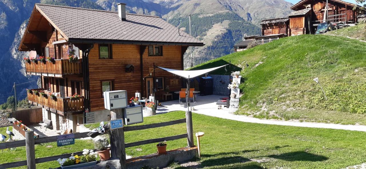 Riebe 331 Appartamento *