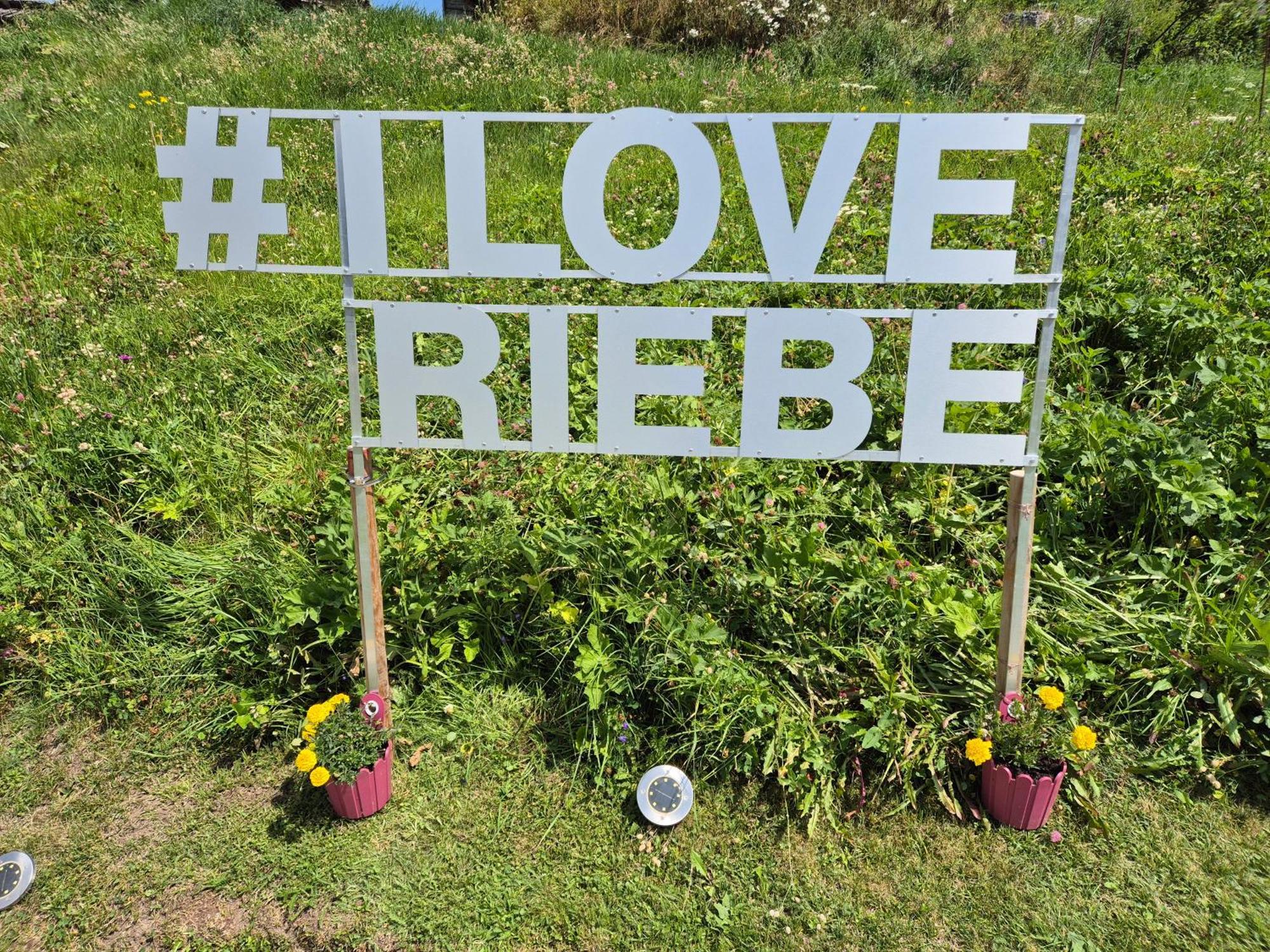 Riebe 331 Appartamento *